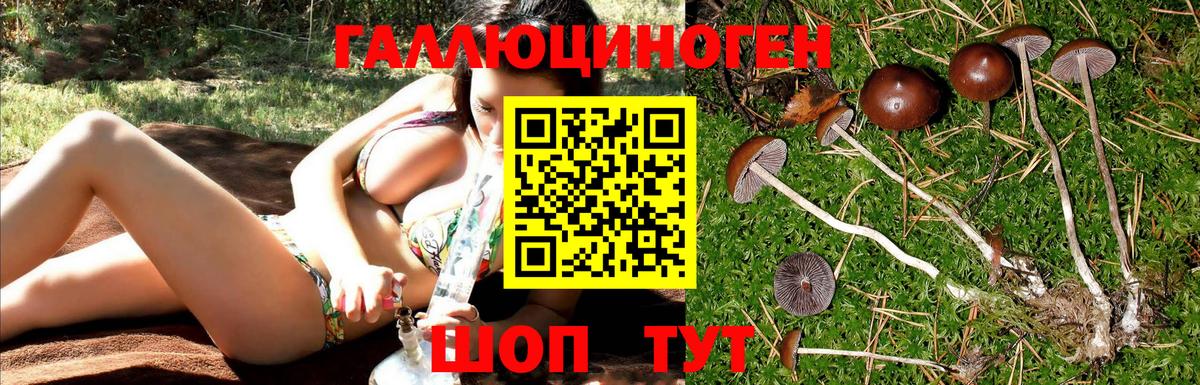 Берёзовский  Псилоцибиновые грибы MAGIC MUSHROOMS  Псилоцибиновые грибы прущие грибы  Вход с VPN 