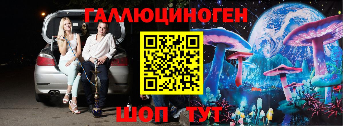 Псилоцибиновые грибы Psilocybe Берёзовский